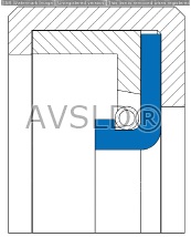 stainless steel oil seal