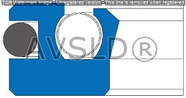 spring energized oil seal